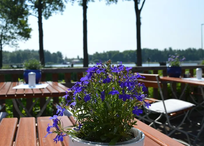 Burger Fahrhaus Burg (Dithmarschen)